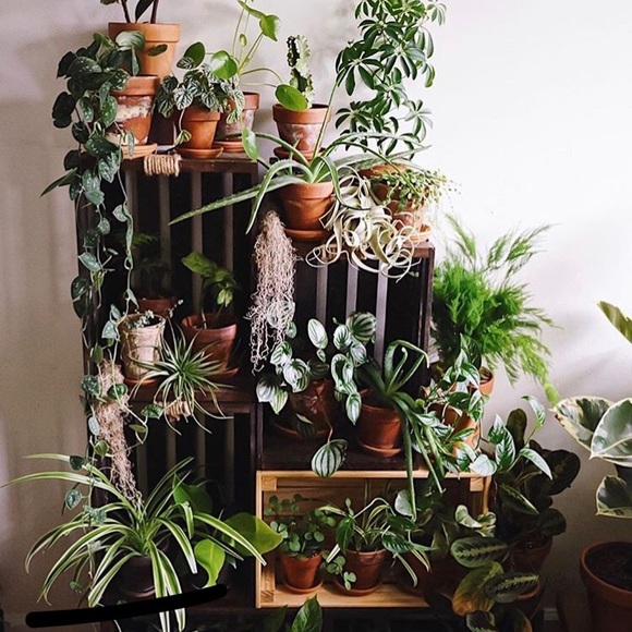 Meet your Posher, Dawn - Picture 1 of 1